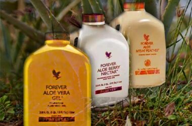 Bebidas Aloe Vera